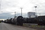 Tank Cars at Vienna Hot Dogs 